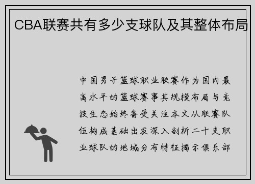 CBA联赛共有多少支球队及其整体布局